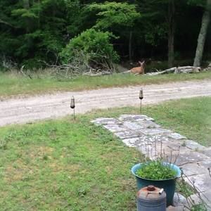 Meet your Posher, Sylvia